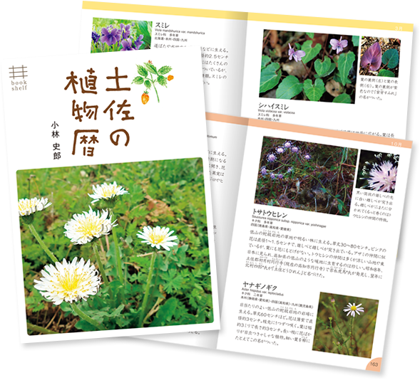 土佐の植物暦 書影